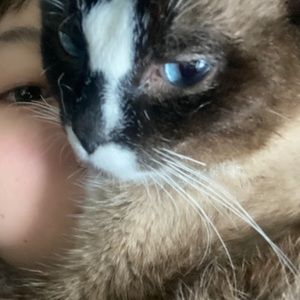 Meet your Posher, Reed